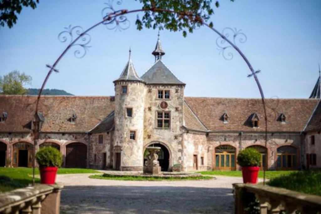 Le Patio Du Chateau De Thanvillé Zewnętrze zdjęcie
